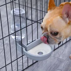 水飲み器 水飲み器 ペットボトルウサギ ゲージ用犬用水入れ・ウォーターボトルプラスチック製ペット 犬のみずのみ器こぼれない 水飲み 給水ボトル 犬 ペット用品 犬 水飲み器ペット自動給水器 取付け簡単 猫 給水器 お留守番対応(グレー480ml) Refoin