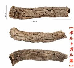 2025年最新】コルク樹皮 キャノンの人気アイテム - メルカリ