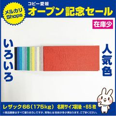 ④　名刺サイズぐらい　65枚（各色５枚）13色　レザック66（175kg）