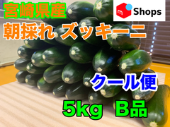 クール便 宮崎県産 ハウス栽培 朝採れ ズッキーニ 5キロ B品 美肌効果 免疫力アップ 便秘解消 血圧対策 ダイエット