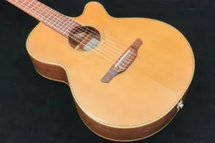 2024年最新】TAKAMINE NPT110Nの人気アイテム - メルカリ