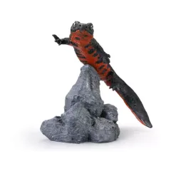 【中古】トレーディングフィギュア アカハライモリ(ノーマル) 「いきもの大図鑑ミニコレクション 両生類02」のサムネイル