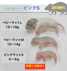 送料無料】国産冷凍ピンクラットSサイズ10匹入@即購入OK！北海道