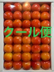 さくらんぼ（紅秀峰）2Lサイズ 500g 福島県産