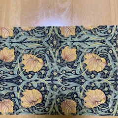 まゆみんぴんぱーねる