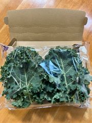 『プレミアムおのんけーる』プロ農家直送　カリーノケール　長崎県産　農家直送　300g