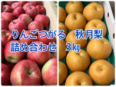 りんごつがる　秋月梨　詰め合わせ　3㎏