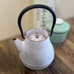 新品未使用 南部鉄器 ロジアソシエイツ 急須 南部鉄ビン ロジアソシエイツ 急須（月） | ギフトショップ
