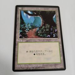 mtg 森 INV インベイジョン John Avon foil 日本語 旧枠 MTG 【foil】 森 Forest インベイジョン 日本語版 フォイル 旧枠