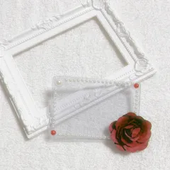 Ｂ８ 痛ロゼット 硬質 硬貨ケース トレカケース デコ 赤 花