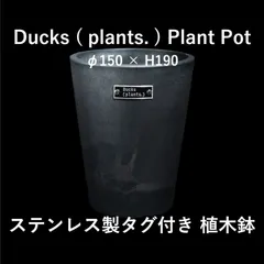 Ducks plants ステンレスタグ付き鉢 植木鉢 φ150×H190 鉢 鉢植え プラントポット