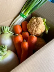野菜セット