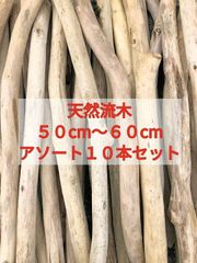 【送料無料】南信州産 天然流木 まがり屋流木 枝流木 アソート（５０cm以上６０cm未満） 【１０本セット】まとめ売り セット販売淡水流木 川流木 流木格安販売 流木卸売