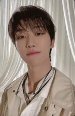 SEVENTEEN 2022 WORLD TOUR 'BE THE SUN' THE8 トレーディングカード 77/82