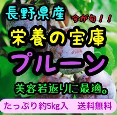 家庭用プルーン5キロ　訳あり　クール便送料無料