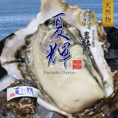 【鳥取県産】天然岩牡蠣 夏輝3個～４個 中サイズ（1個/300g以上1kg以上）大食いYouTuberのもぐもぐさくらさんの落書き箱入りで届くかも！送料無料！