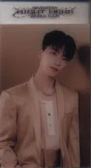 SEVENTEEN 2024 RIGHT HERE DINO CREAR BOOKMARK