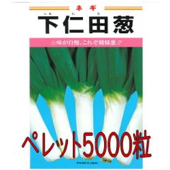 カネコ種苗　下仁田葱　ペレット５０００粒