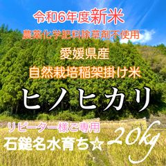 ★リピーター様限定★自然栽培 農薬化学肥料除草剤不使用　令和6年度新米　愛媛県産ヒノヒカリ 稲架掛け米(天日干し米)  20kg