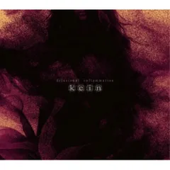 kein FLASHBACK THE NEWSMAN 新品未開封CD 2025年最新】kein cdの人気アイテム - メルカリ