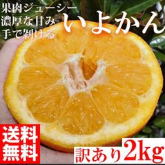 30%OFFセール中！ みかん いよかん 伊予柑 2kg 訳あり 大特価 高級柑橘 和歌山県産 産直 オレンジ フルーツ 果物