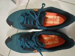 NIKE(ナイキ) ペガサス 39 シールド ランニングシューズ 280mmのサムネイル