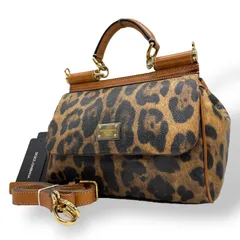 ✨美品✨　DOLCE&GABBANA ドルガバ　パイソン　ハンドバック　がま口 DOLCE&GABBANA DOLCE＆GABBANA ドルチェ&ガ ッバーナ ドルガバ