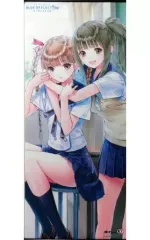【中古】タペストリー 司城夕月＆菅本 しほり 描き下ろし特大タペストリー 「PS4/PS Vitaソフト BLUE REFLECTION 幻に舞う少女の剣 プレミアムボックス」 WonderGOO購入特典