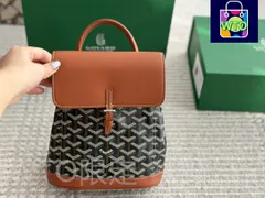 【今日特価】Alpin mini Goyard ゴヤード ミニ両肩バッグ 20×23cm ～飽きないレジャーなモダン感～-WT0輸入
