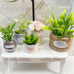 ＃479 ミニチュア インテリア ＊観葉植物⑲