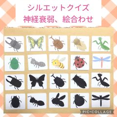 昆虫カード　神経衰弱　シルエットクイズ　モンテッソーリ