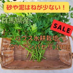 群馬県産 水耕 イタリアンパセリ 200g