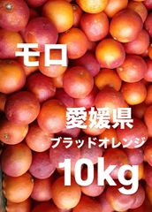 愛媛県産　ブラッドオレンジ　モロ　柑橘　10kg