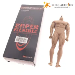 tbleague ファイセン ホットトイズ 1/6フィギュア ユニフォーム tbleague ファイセン ホットトイズ 1/6フィギュア ユニフォーム