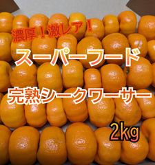 12月収穫樹上完熟シークワーサー　2kg【農家直送】