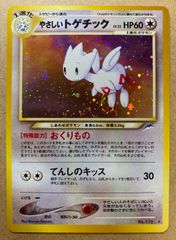 サザンアイランド　コンプリート　セット　ポケモンカード　旧裏 サザンアイランド18枚コンプリートセット ポケモンカード旧裏