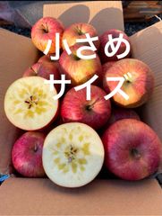 青森県産りんご葉取らずさんフジ家庭用約3キロ小さめサイズ