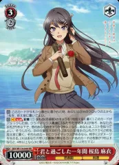 2025年最新】青ブタ ヴァイス デッキの人気アイテム - メルカリ