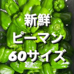 朝採れピーマン　60サイズ　1.3キロ以上！