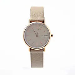 SKAGEN SKW3060 腕時計 レディース ピンクゴールド グレー クオーツ  並行輸入品のサムネイル