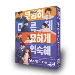 日本語字幕 韓国ドラマ「Missナイト & Missデイ」DVD Blu-ray BOX 全話収録