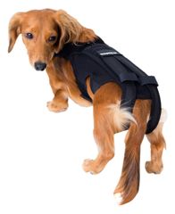 Item thumbnail for item 0018fbaf-945c-406b-9f96-b7fc7b0b73a3