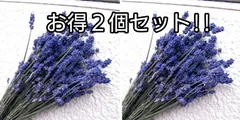 濃紫ラベンダー早咲 お得2個セット
めぐみ工房 北海道ドライフラワー・富良野