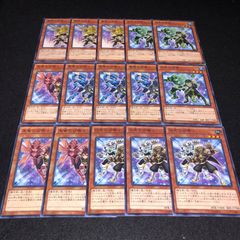遊戯王 NO.829 朱雀の召喚士 白虎の召喚士 青竜の召喚士 玄武の召喚士 黄龍の召喚士 各3枚 計15枚