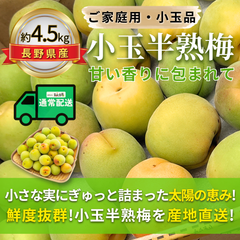 小玉半熟梅 ～甘い香りに包まれて～ 【内容量】約4.5kg【配送方法】通常配送【サイズ】L以下【品目】梅（うめ）【品種】当店お任せ【産地】長野県【規格】ご家庭用A品B品混合【詰め方】バラ詰め【配送までの日数】1～4日