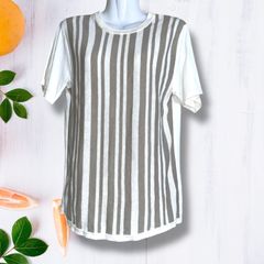 2255　H.O.B　Tシャツ　カットソー　半袖　ストライプ　レディース　【M】