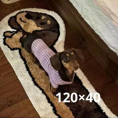 【未使用新品】ネムリエール 仔犬 ミニチュア・ダックスフンド ミニチュアダックスフンドのブリーダー・子犬販売なら「プラム