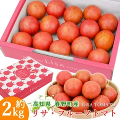 諸木直送 トマト Lisa フルーツトマト 2箱 100日トマト 春野町 高糖度トマト 高知産 高知 糖度8度以上 高知県産 家庭用 ふるーつとまと 約2キロ 宅急便