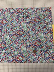 ビンテージ布　ライトグリーンに赤、ブルーの波格子と花　VF-61