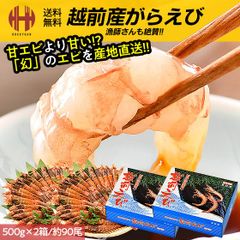 ガラエビ がらえび がらエビ 1kg 500g×2箱 ガマエビ ガサエビ モサエビ 刺身 越前産 福井県 ギフト